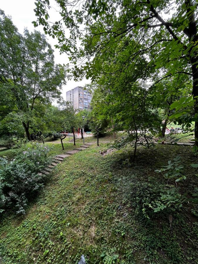Apartman Sasha 2 Belgrad Dış mekan fotoğraf