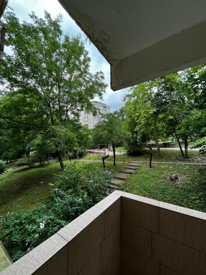 Apartman Sasha 2 Belgrad Dış mekan fotoğraf