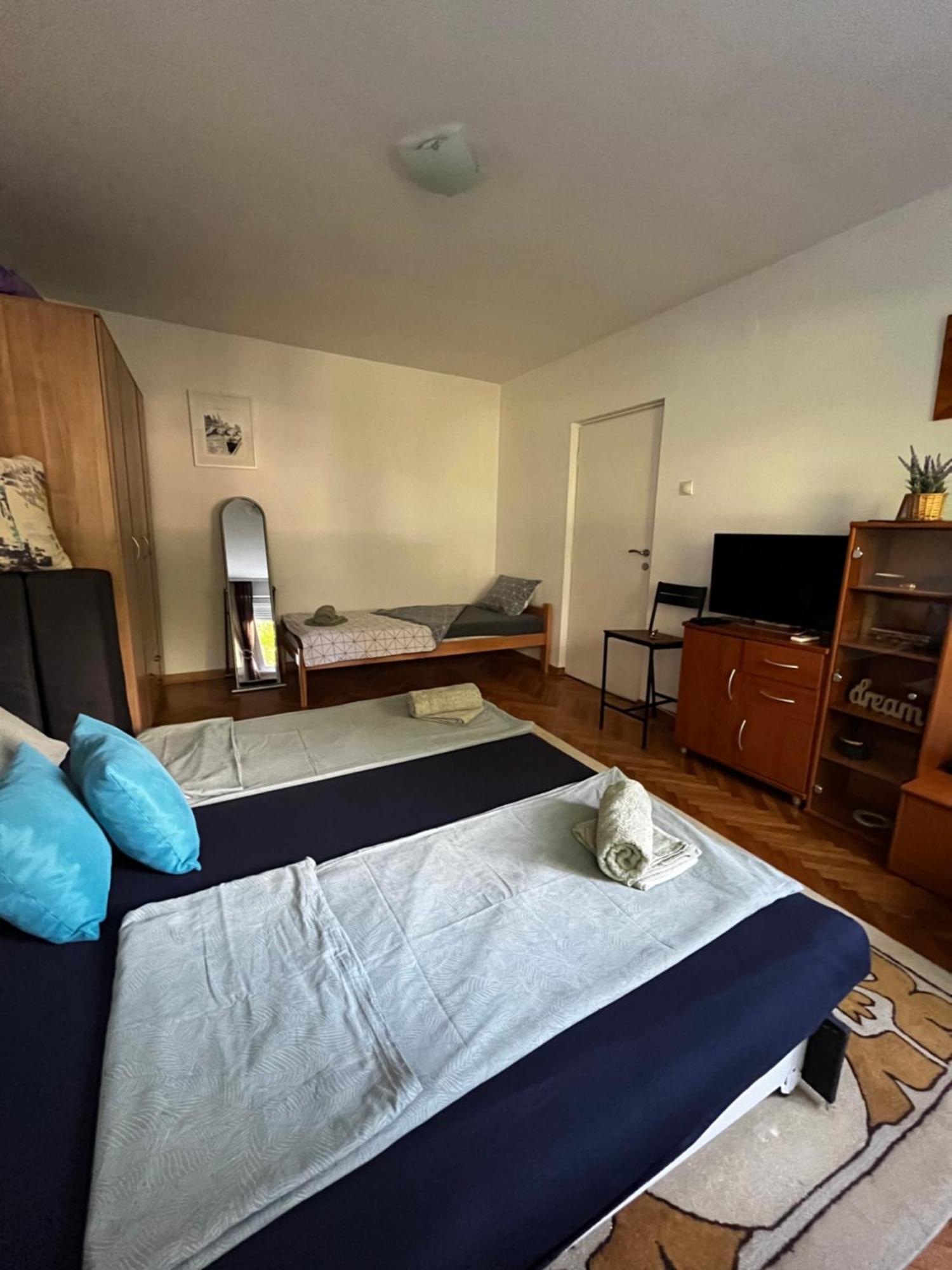 Apartman Sasha 2 Belgrad Dış mekan fotoğraf