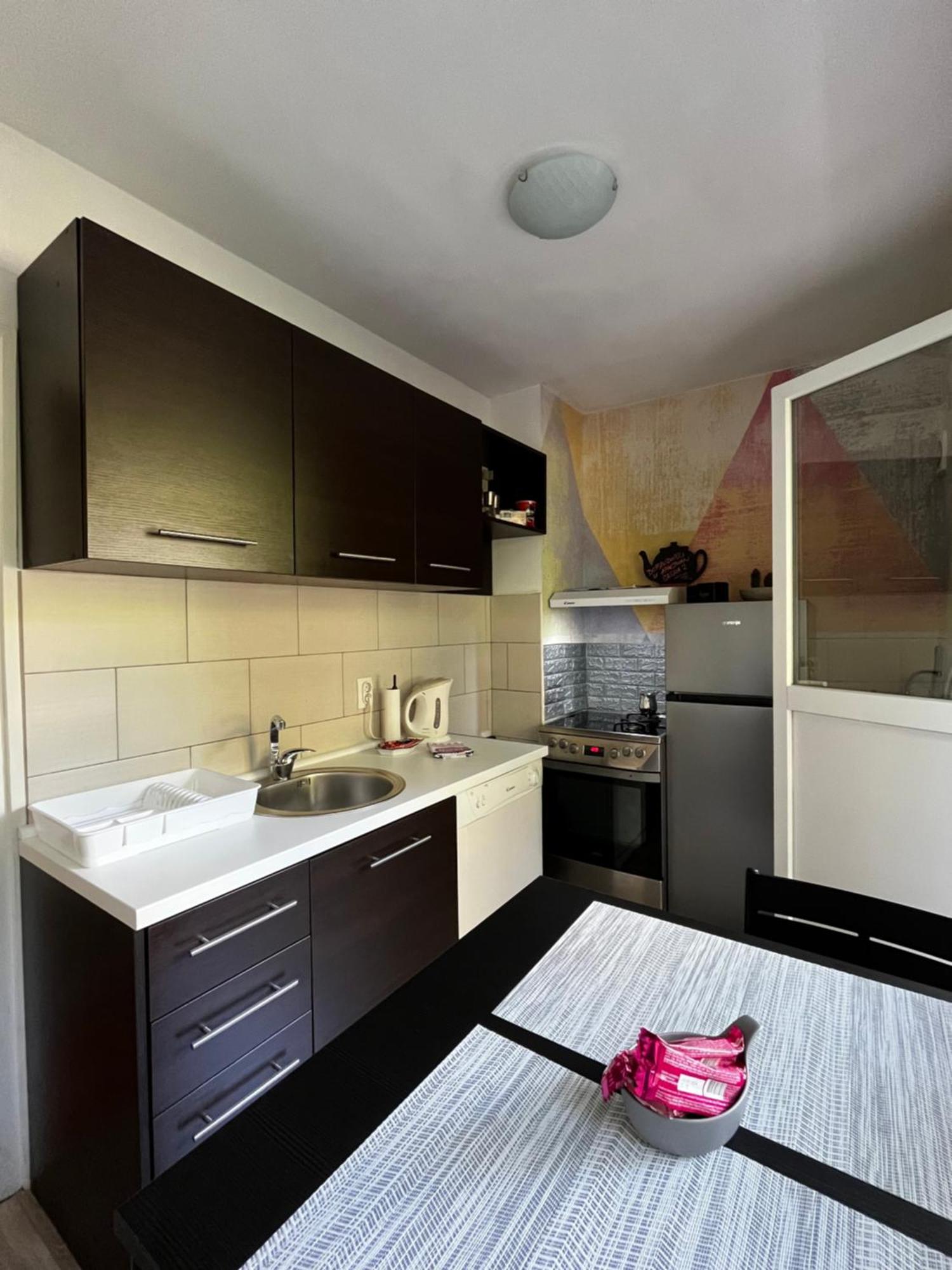Apartman Sasha 2 Belgrad Dış mekan fotoğraf