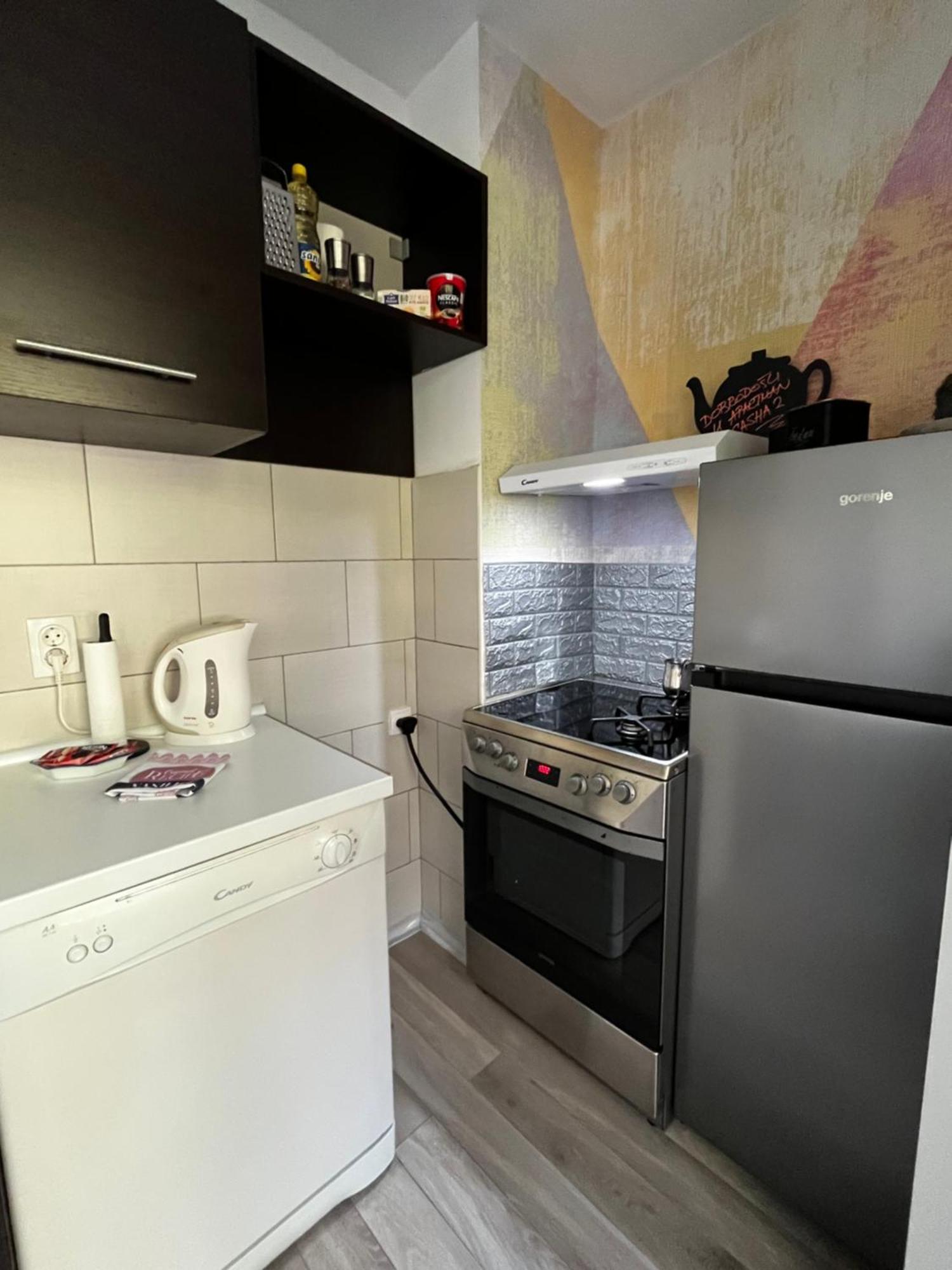 Apartman Sasha 2 Belgrad Dış mekan fotoğraf